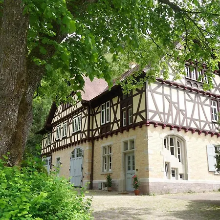 Gruenes Gold Am Leisberg